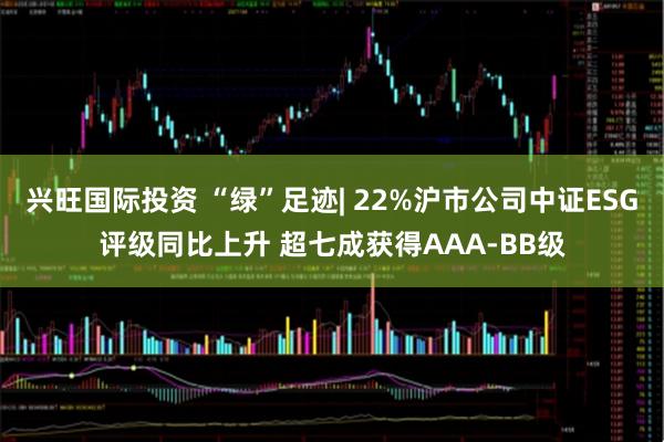 兴旺国际投资 “绿”足迹| 22%沪市公司中证ESG评级同比上升 超七成获得AAA-BB级