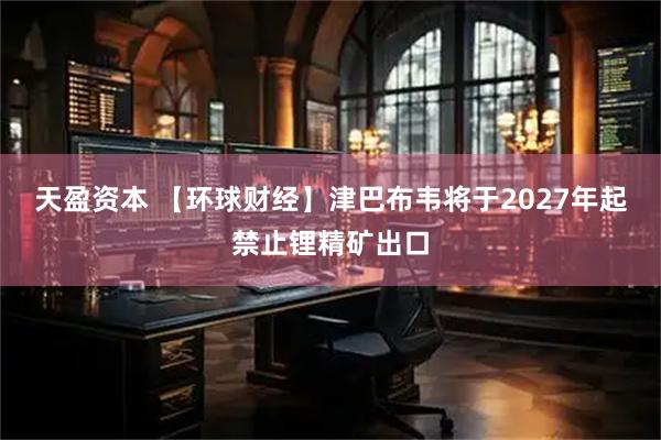 天盈资本 【环球财经】津巴布韦将于2027年起禁止锂精矿出口