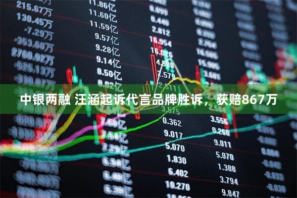 中银两融 汪涵起诉代言品牌胜诉，获赔867万