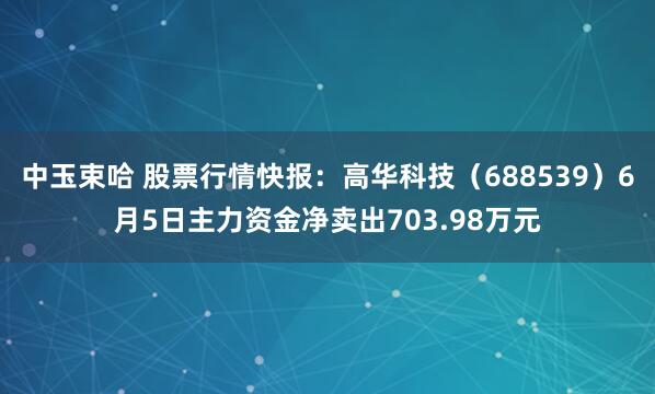 中玉束哈 股票行情快报：高华科技（688539）6月5日主力资金净卖出703.98万元