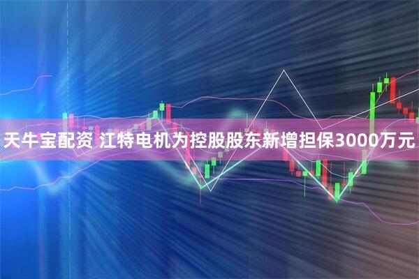 天牛宝配资 江特电机为控股股东新增担保3000万元