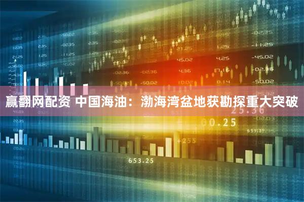 赢翻网配资 中国海油：渤海湾盆地获勘探重大突破
